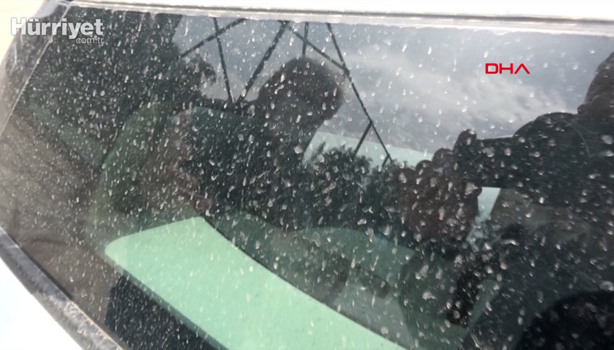 Prof. Dr. Yaşar Doğan: Sahra tozu çamur  olarak yağacak