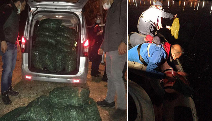 İzmirde kaçak avlanan 2 ton deniz patlıcanı ve kum midyesi ele geçirildi