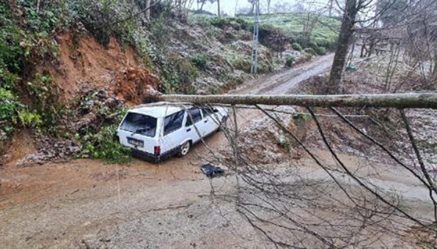 Heyelanda devrilen ağaç otomobilin üzerine düştü