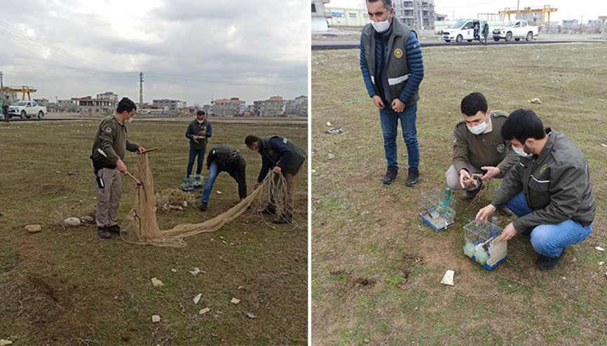 Batmanda saka kuşu avcısına 5 bin 879 TL ceza