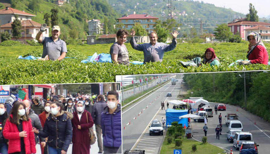 Karadenize çay göçü öncesi kritik vaka uyarısı Aynı hatanın tekrarı olur