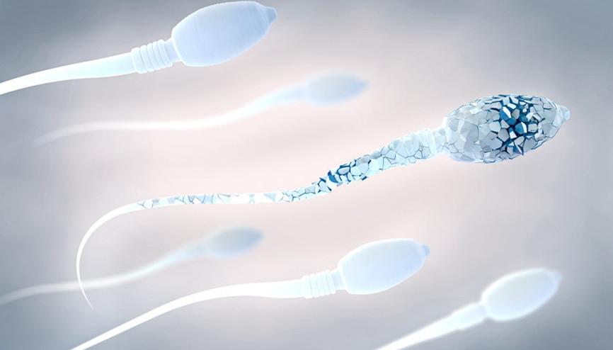 Sperm sağlığında L-arjinin önemi