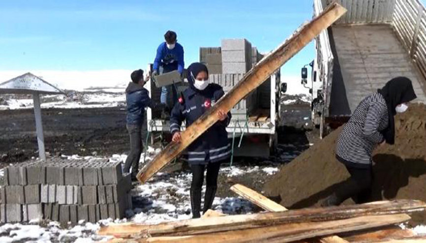 Vanda, hayvanseverlerden sokak köpekleri için kulübe