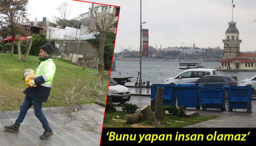 Üsküdarda Kız Kulesinin karşısındaki ağaçları keserken yakalandılar