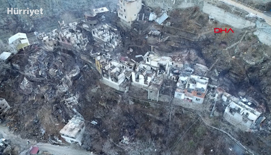 Artvinde köydeki yangın felaketinin boyutu, gün ağarınca ortaya çıktı