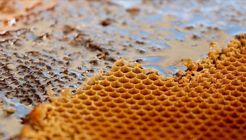 Türkiyeden 2 ayda 4,1 milyon dolarlık bal satıldı