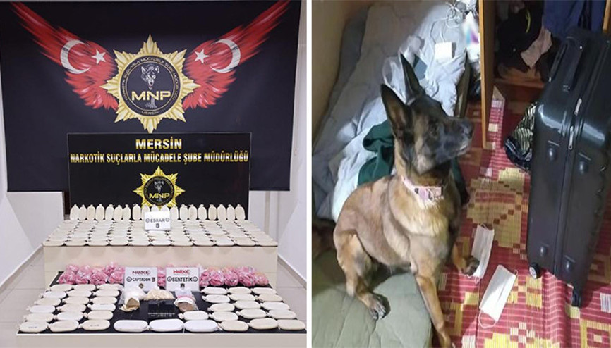 Valiz ve çantadaki yüklü miktardaki uyuşturucuyu narkotik köpeği Mila buldu Valiz ve çantadaki yüklü miktardaki uyuşturucuyu narkotik köpeği Mila buldu