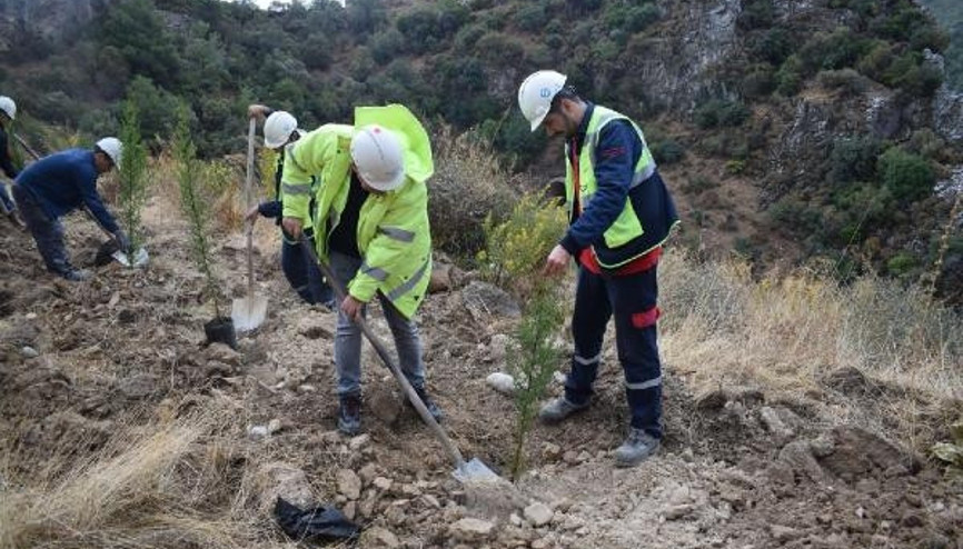 Enerji şirketinden 3 yılda 1 milyon ağaç