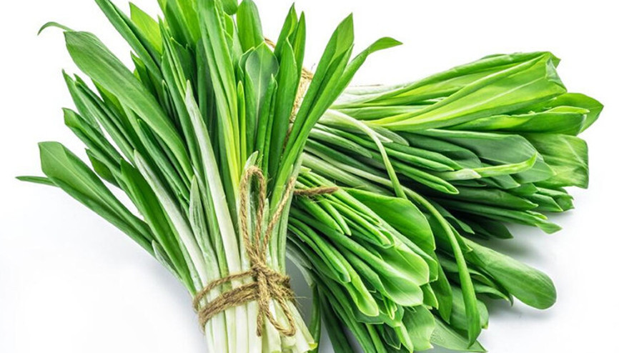 Çiriş otu nedir, nasıl tüketilir Çiriş otu faydaları