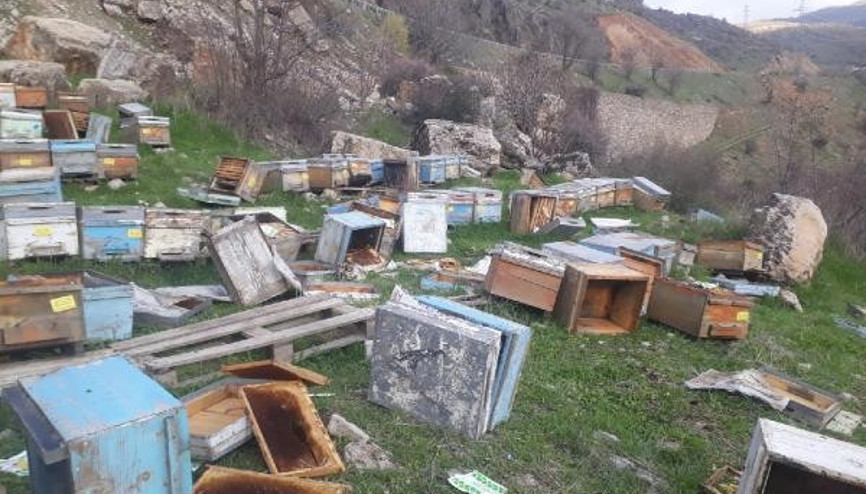 Hakkaride kış uykusunda uyanan ayılar, 150 kovana zarar verdi