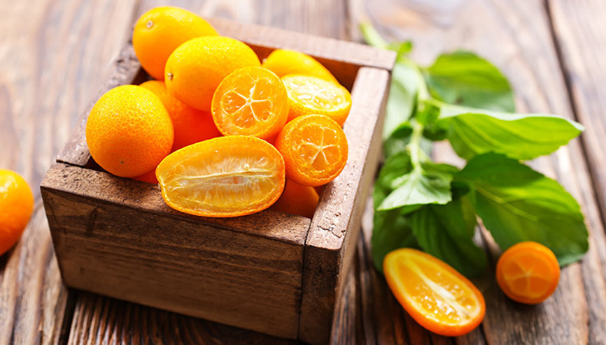 Kamkat nedir, faydaları nelerdir C vitamini deposu kamkatın faydaları