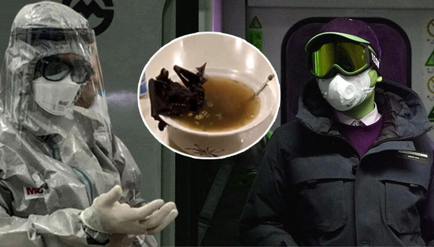 Koronavirüs insanlara yarasadan mı bulaştı DSÖden dikkat çeken açıklama.. Başka bir hayvan yoluyla..