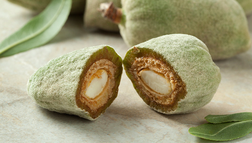 Çağlanın faydaları nelerdir İşte bahar habercisi çağla meyvesi...