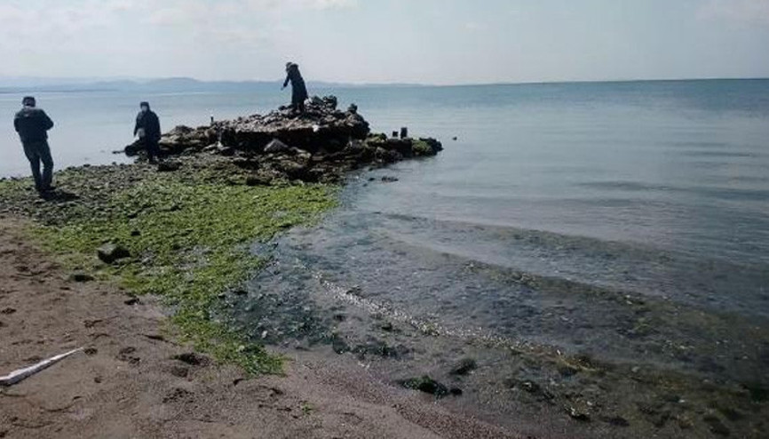 Yüzerek gidilen kayalıklara, sular çekilince yürüyerek çıktılar