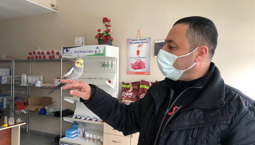 İnanılmaz olay Bu kuşu duyan şoke oluyor