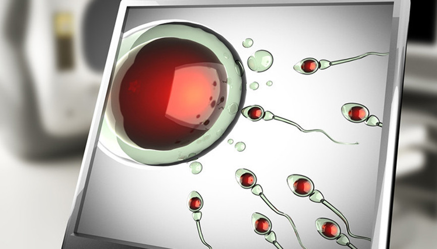 25 yıl içinde sperm sayısı sıfırlanır mı