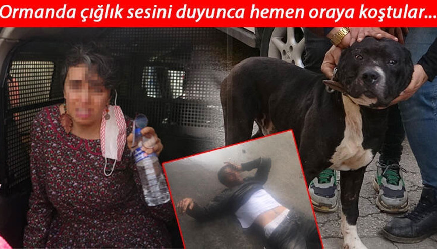 Sapık, Karlos adlı köpeğin bacağından ısırmasıyla yakalandı