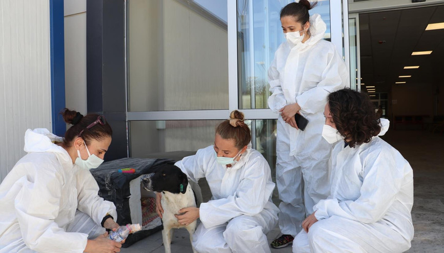 Filyasyoncu Nazlı moral kaynağı oldu