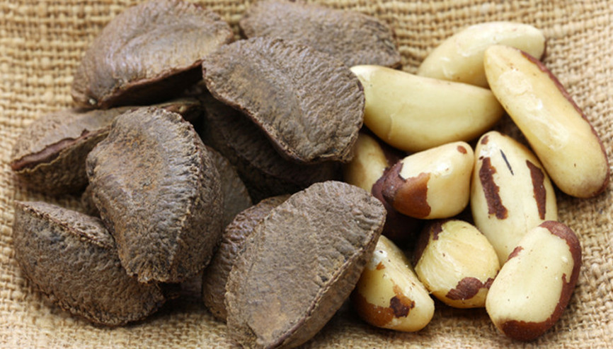 Brezilya cevizi nedir, nelere iyi gelir İşte Brezilya cevizinin faydaları