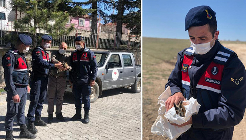 Kartal saldırısında yaralanan baykuş tedaviye alındı