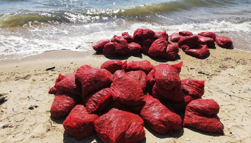 Edirne’de, 876 kilo kaçak midyeye 449 bin lira ceza