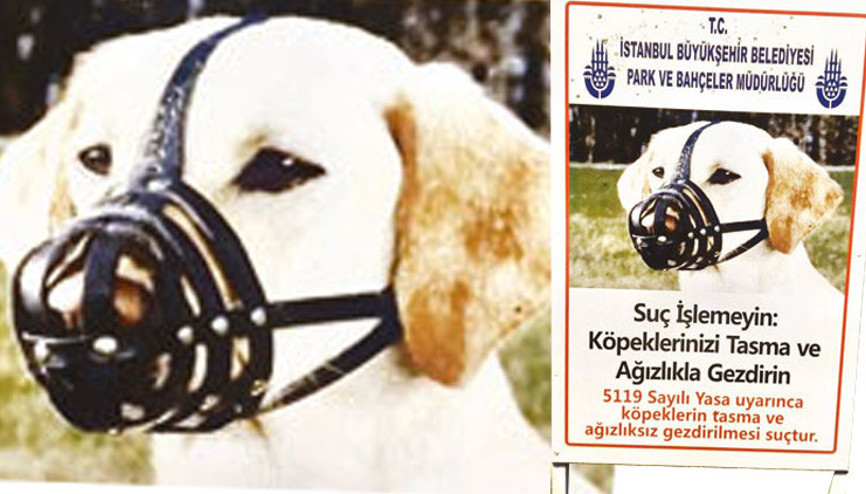 Hayvanseverlerin tepkisini çekmişti O levhalar kaldırıldı