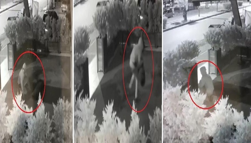 Kuaför önündeki halının çalınma anı kamerada
