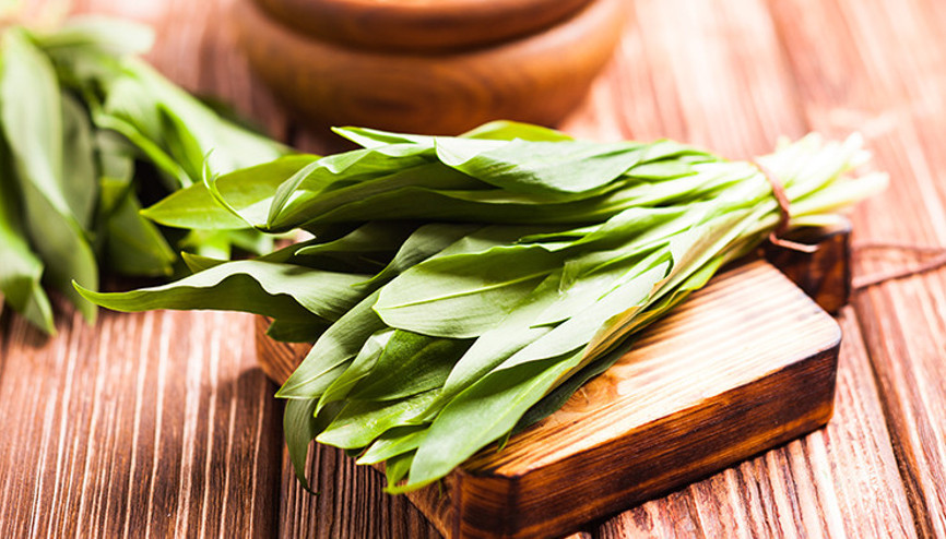 Çiriş otu nedir, nasıl tüketilir Çiriş otunun faydaları