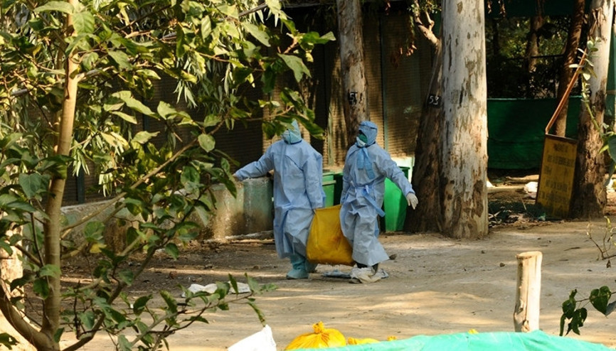 Güney Afrikadaki kuş gribi salgını sonrası 3 ülke alarma geçti