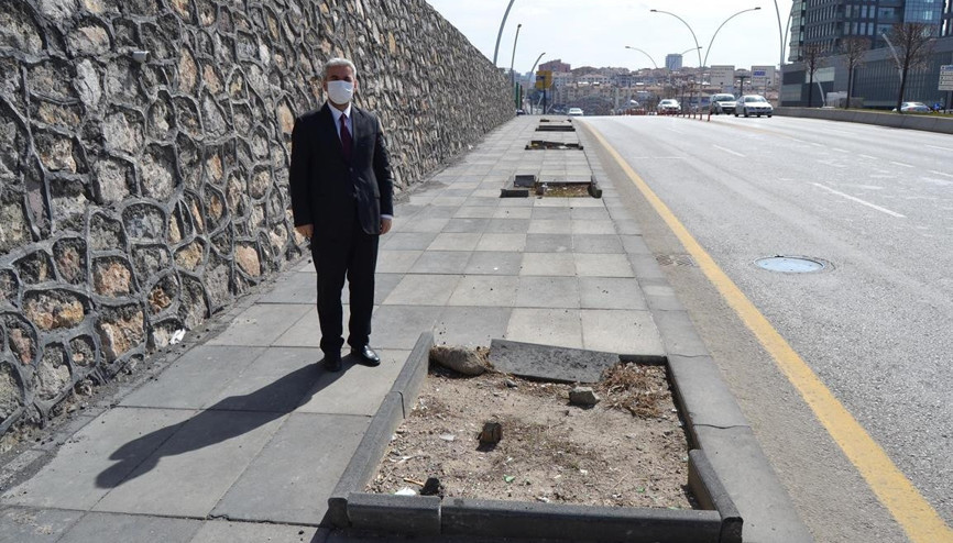 Ünal’dan ABB’ye ağaç tepkisi: Kuruyor kapatılıyor
