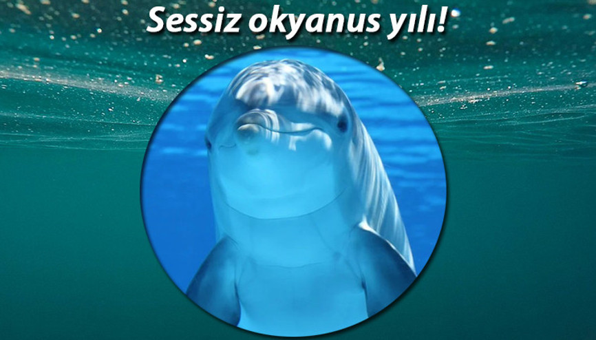 2020, Sessiz Okyanus Yılı ilan edildi , uzmanlar Sürpriz sonuçlara hazır olun dedi