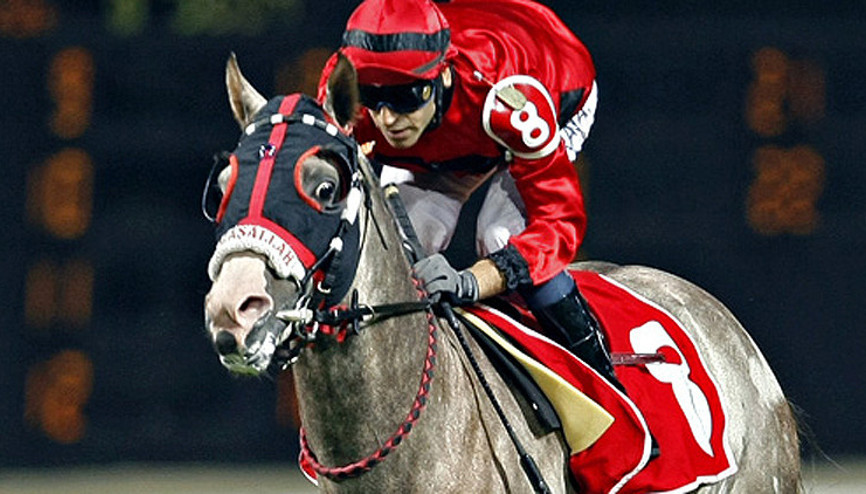 Şampiyon at Turbo yaşamını yitirdi