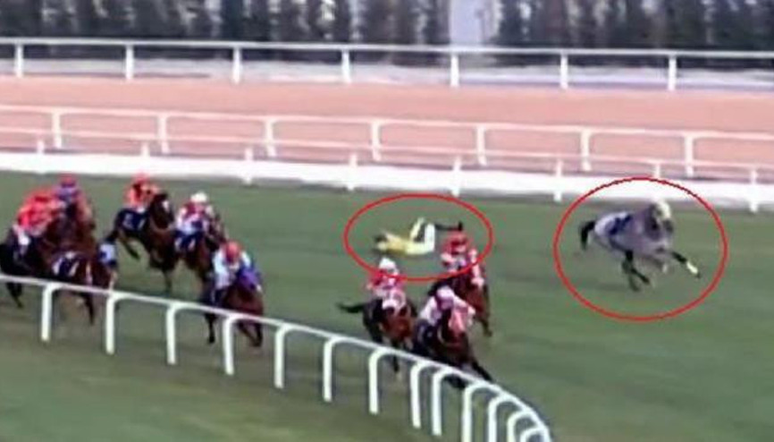 Adanadaki at yarışı kazalarıyla ilgili ilk hamle Araştırma başlatıldı
