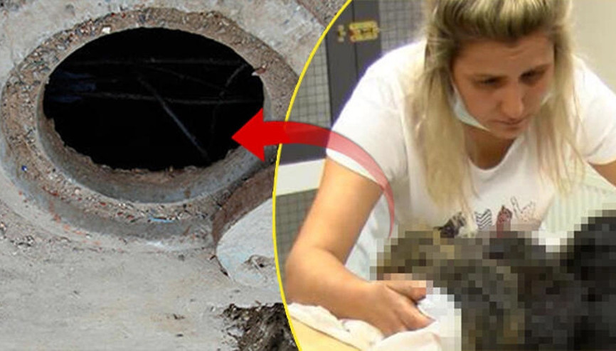 Ankarada foseptik çukurunda 6 yavru köpek bulundu