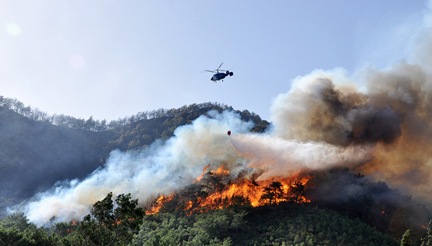 Antalyada orman yangınında küle dönmüştü 13 yılda yeşile büründü