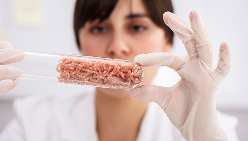 Veganlara ve et tüketenlere sorduk: Yapay ete nasıl bakıyorsunuz