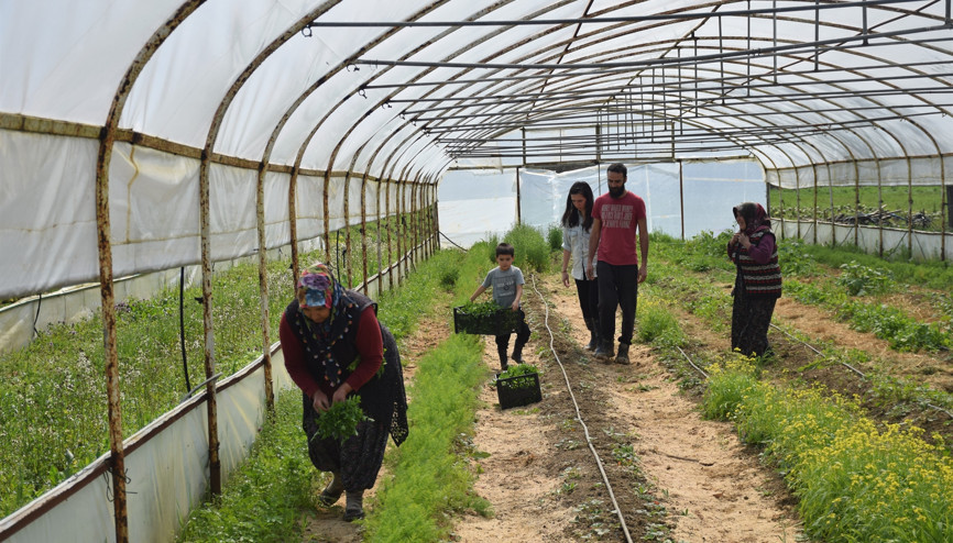 4,5 yıl önce eşinin köyüne yerleştiler... Atıl arazide iş kurup istihdam yarattılar...