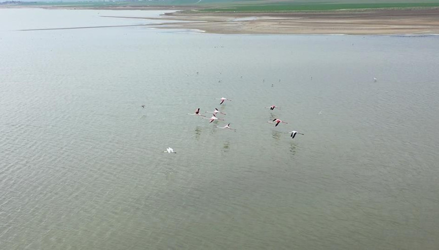 Mogan’dan Tuz Gölü’ne