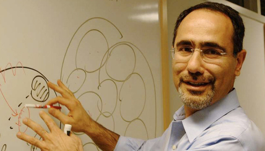 Tek makale Harvard’ın kapısını açtı