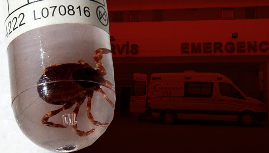 Kırım Kongo Kanamalı Ateşi kâbusu geri döndü Dikkat: Belirtileri koronavirüse benziyor