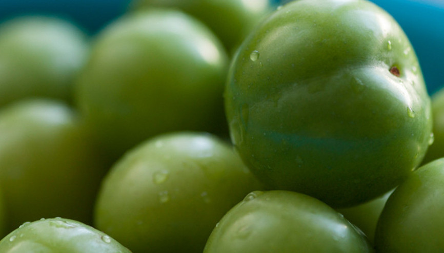 Yeşil eriğin faydaları nelerdir İşte yeşil eriğin vücuda etkileri