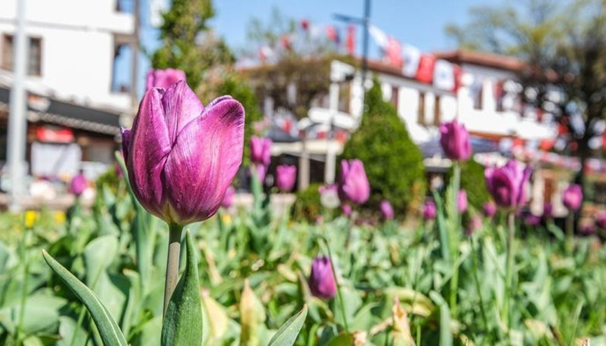 Altındağ lale açtı