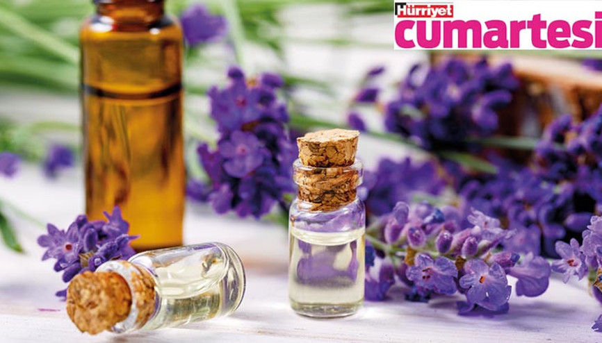 Alerji, bari sen bırak peşimizi