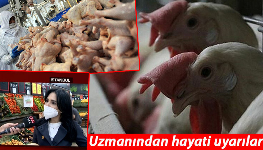 Tavuktan ölüm haberi sonrası hayati uyarılar Tavuk tüketirken bunlara dikkat...