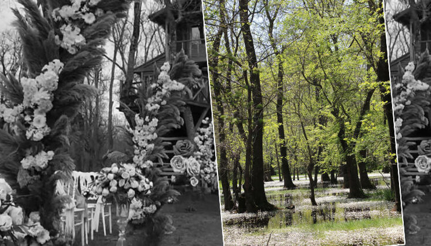 Samsunda Galeriç Ormanında tepki çeken görüntü