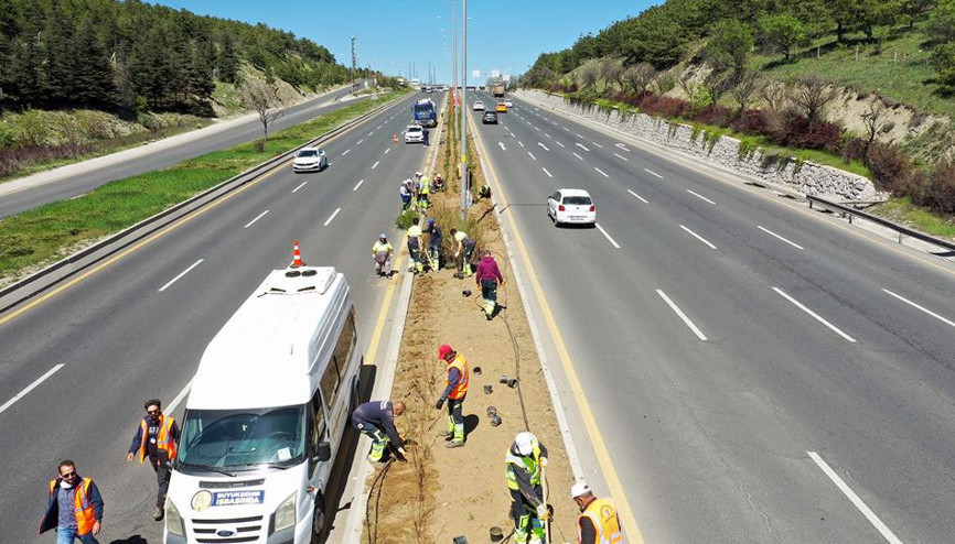 5 kilometreye 150 bin çiçek