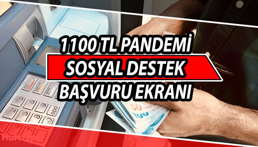 1100 TL yardım parası sorgulama ve başvuru ekranı E-Devlet yardım sorgulama ekranı..