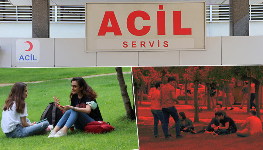 Akrep, yılan ve kene ısırığı vakalarında dikkat Uzman isim uyardı