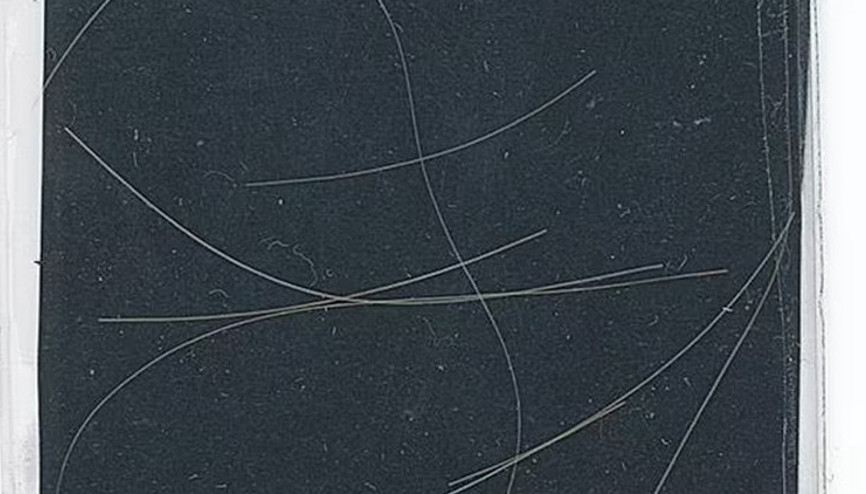 Ünlü sanatçının saçının tek bir teli 20 bin liraya satıldı