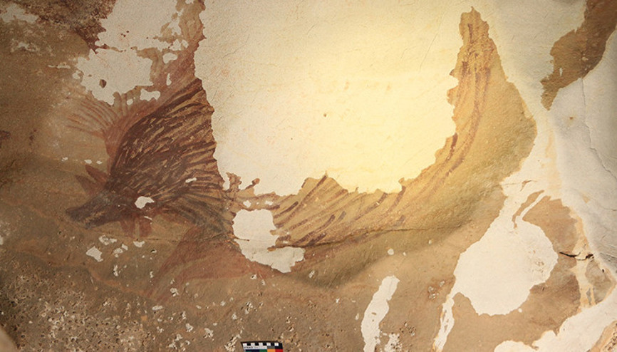 Dünyanın en eskisiydi... İklim değişikliğine kurban gitti